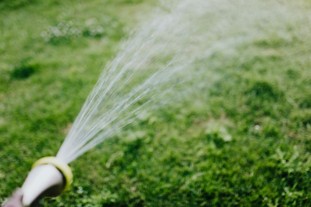 A garden hose sprays water onto a lush green lawn on a sunny day.